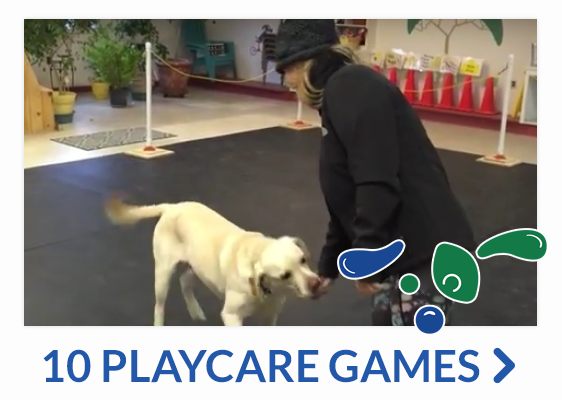 10 playcare games