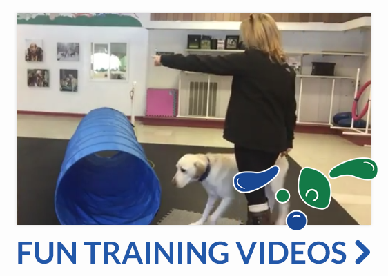 fun training videos